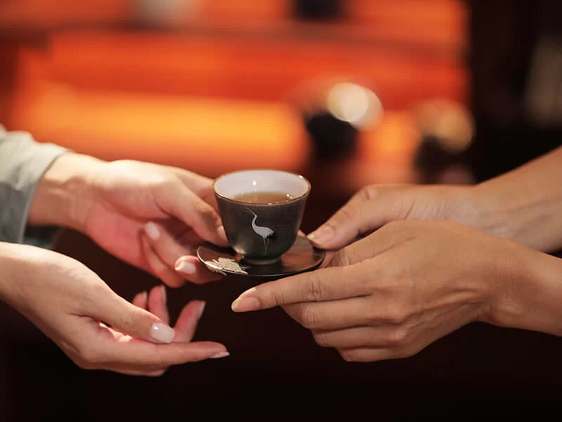 các loại trà shan tuyết