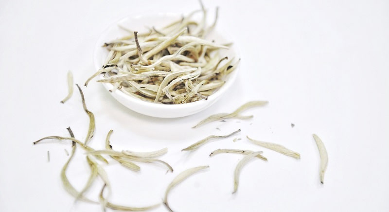 bạch trà