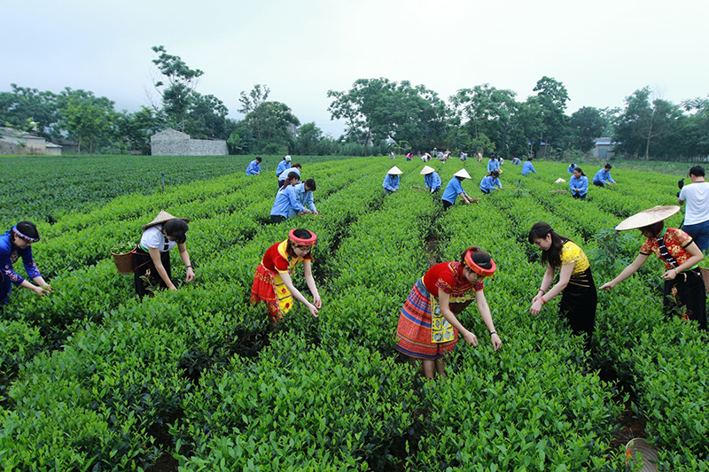 quy trình chế biến